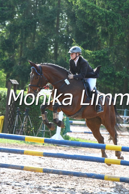 104M7596_Spring A.JPG